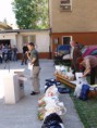 /album/fotogaleria/deneur11595-jpg/